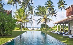 The Frangipani Tree By Edwards Collection - Thalpe
